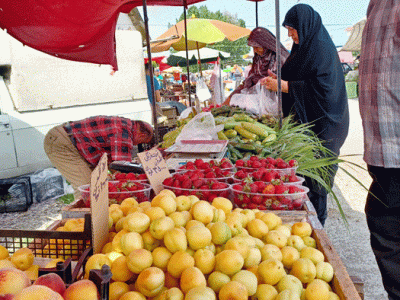 افتتاح ۵ روستا بازار جدید تا پایان سال در گلستان