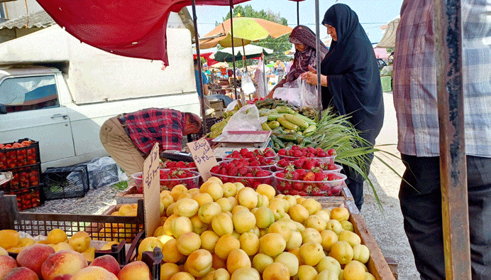 افتتاح ۵ روستا بازار جدید تا پایان سال در گلستان