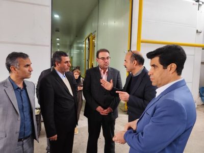 بازدید معاون وزیر صمت از واحد های تولیدی شهرک صنعتی سرخنکلاته