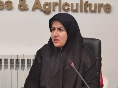 سازمان در مقابل تجار قرار ندارد/ اجرا کنندهایم، تصمیمگیرنده نیستیم