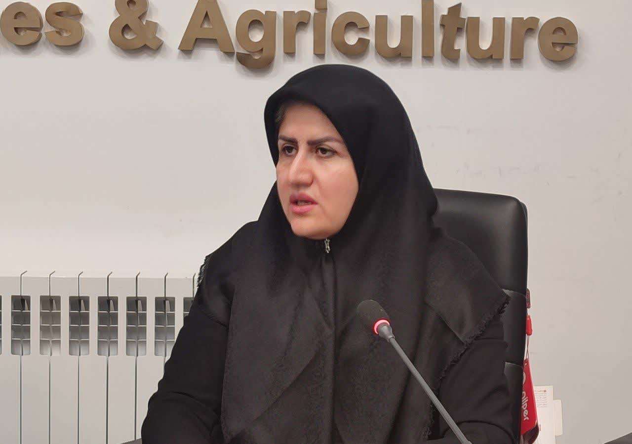 سازمان در مقابل تجار قرار ندارد/ اجرا کنندهایم، تصمیمگیرنده نیستیم