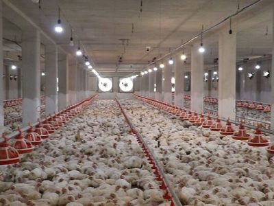 استفاده از سوخت جایگزین در واحدهای تولیدی در دستور کار قرار دارد