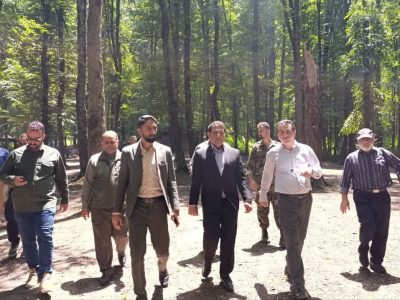 ورود دادستانی کردکوی به ساماندهی پارک جنگلی امام رضا(ع)