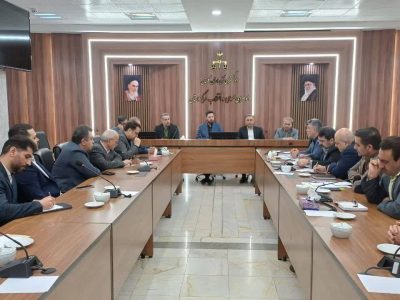 تدوین سازوکار جدید نظارت بر توزیع مرغ گرم در گلستان/رصد احتکار و گرانفروشی