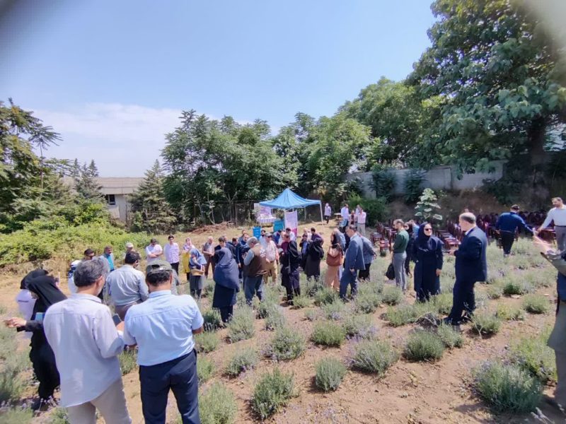 رویداد «اسطوخودوس» در دانشگاه علوم کشاورزی و منابع طبیعی گرگان برگزار شد