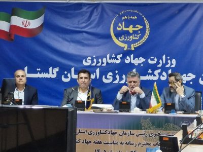 صادرات ۴هزار تن سیب زمینی از گلستان/توسعه کشاورزی با جذب سرمایه‌گذار میسر است
