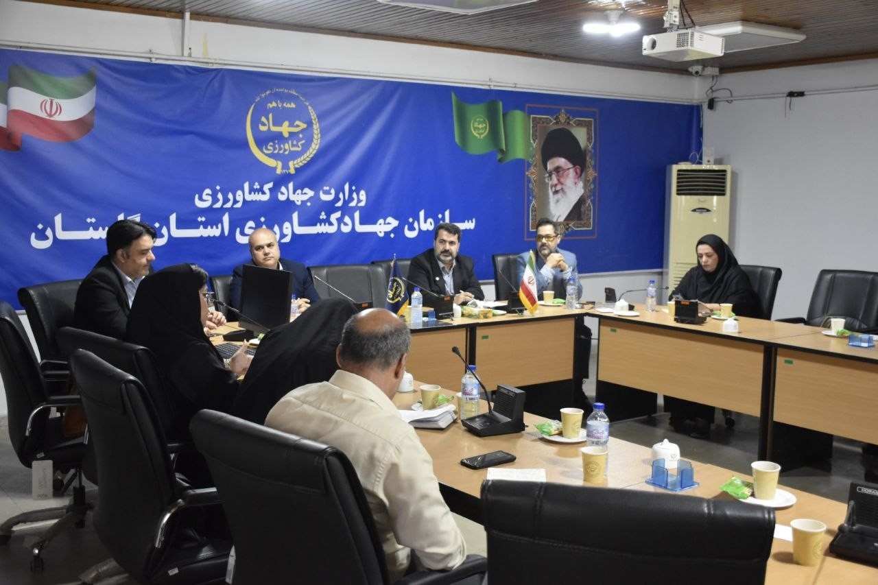 بازار مرغ گلستان در مسیر آرامش اما با زخمهای مزمن