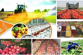 زنجیره ارزش کشاورزی گلستان تکمیل می‌شود